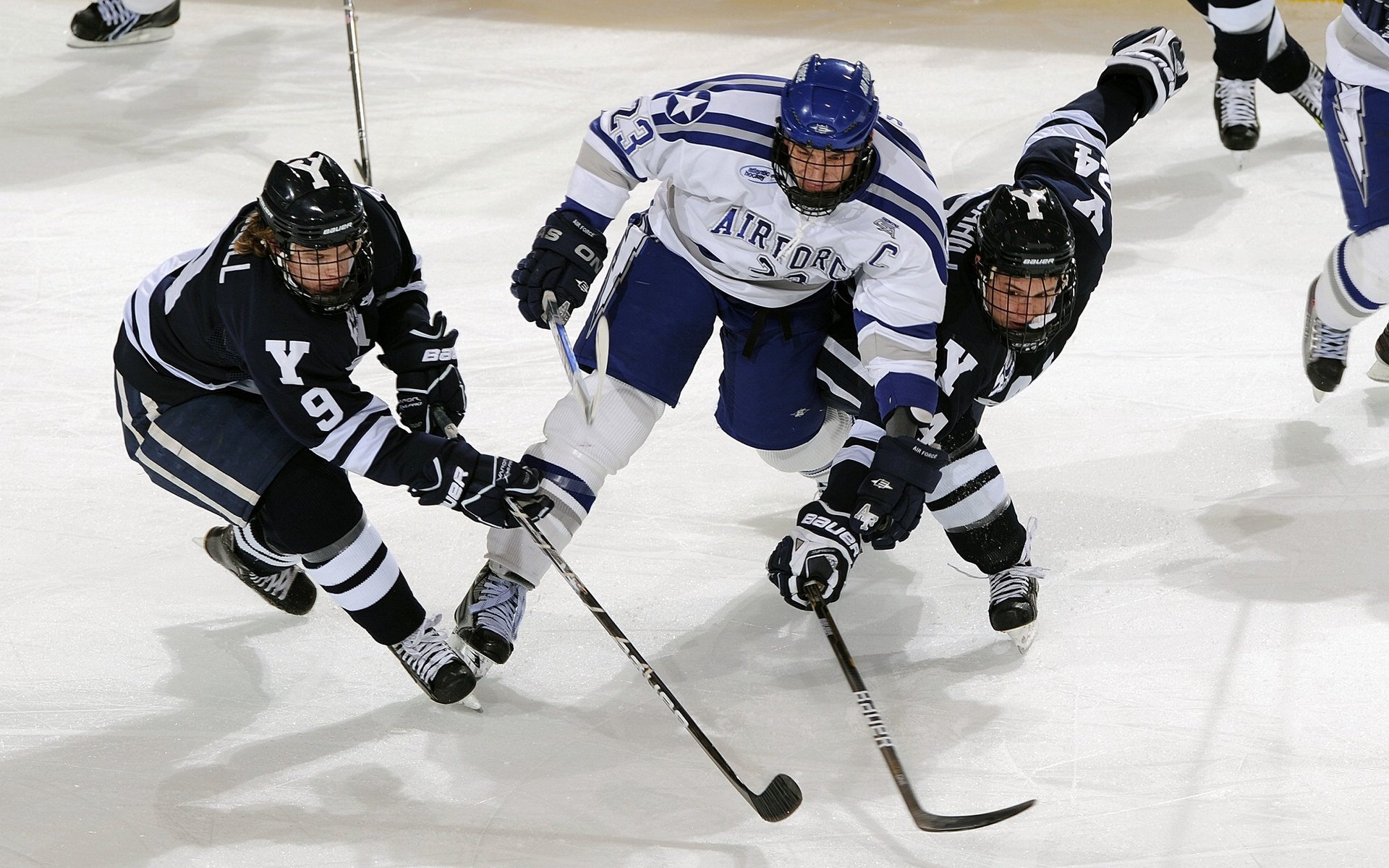 中国短道速滑队准备新赛季,战术节奏全面升级,中国短道速滑现在怎么样
